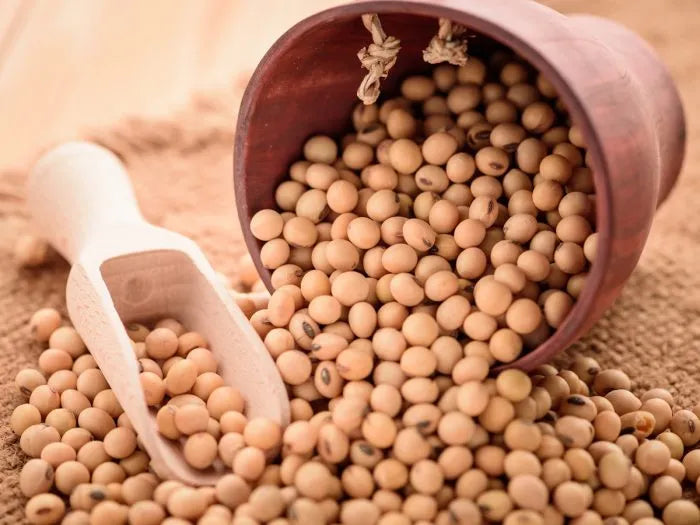 Nattoquinasa - The Red Vitamin MX - {{ shop.shopifyCountryName }}