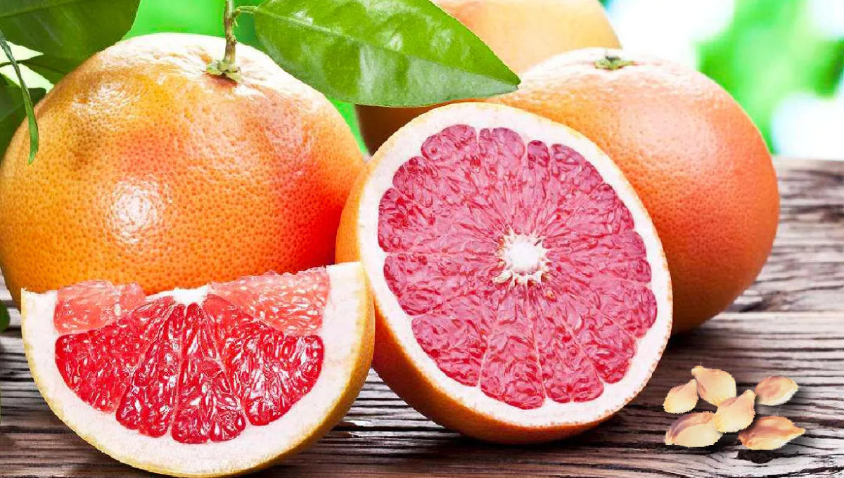 Semilla De Pomelo - The Red Vitamin MX - {{ shop.shopifyCountryName }}
