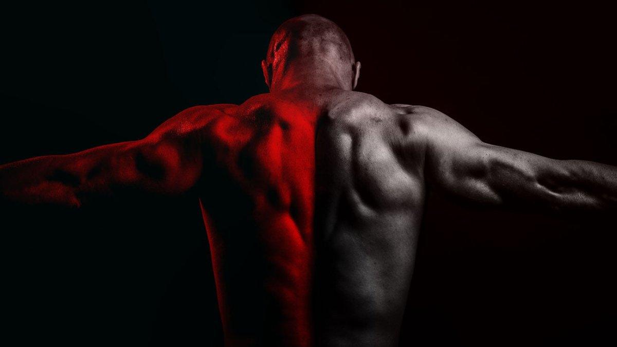 ALCAR HCL Acetil L-Carnitina - The Red Vitamin MX - {{ shop.shopifyCountryName }}