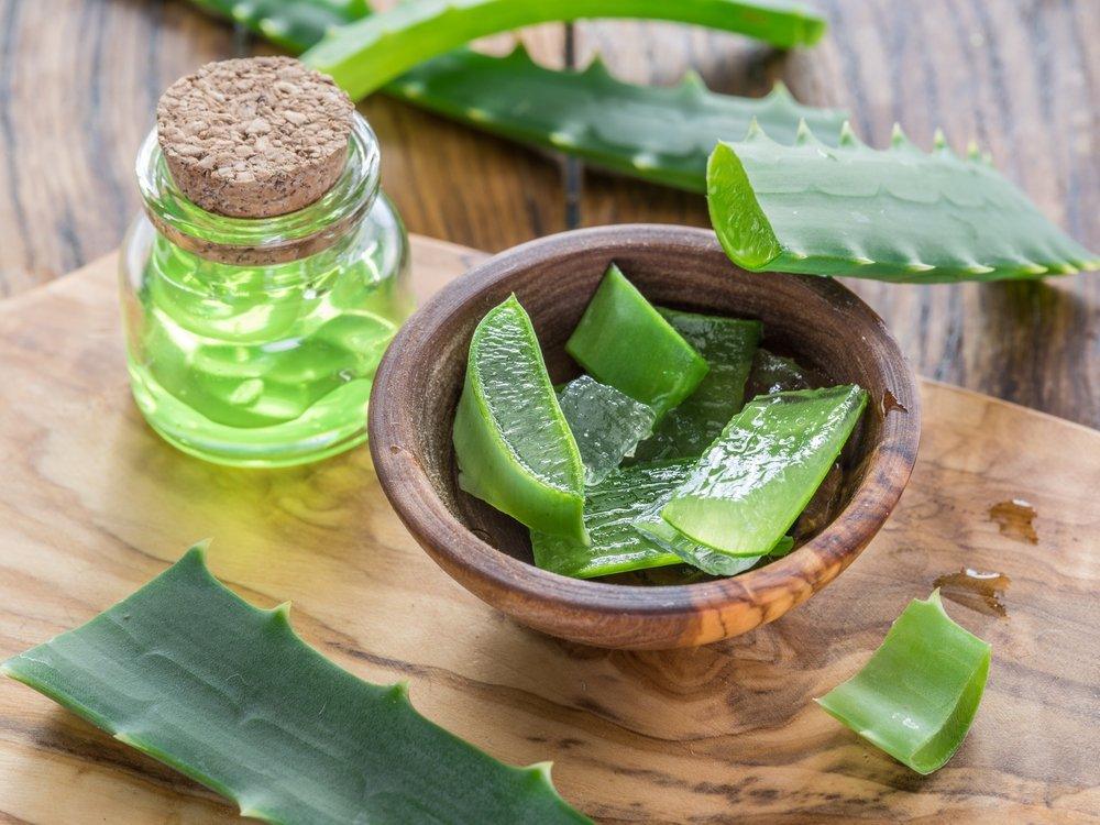 Aloe Vera - The Red Vitamin MX - {{ shop.shopifyCountryName }}