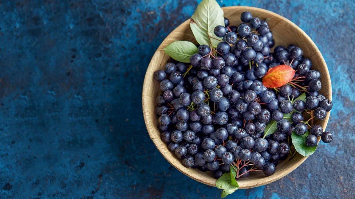 Aronia - The Red Vitamin MX - {{ shop.shopifyCountryName }}