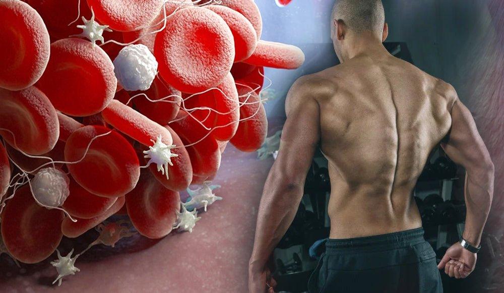 Ecdisterona - The Red Vitamin MX - {{ shop.shopifyCountryName }}