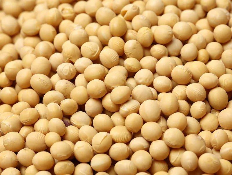 Espermidina - The Red Vitamin MX - {{ shop.shopifyCountryName }}