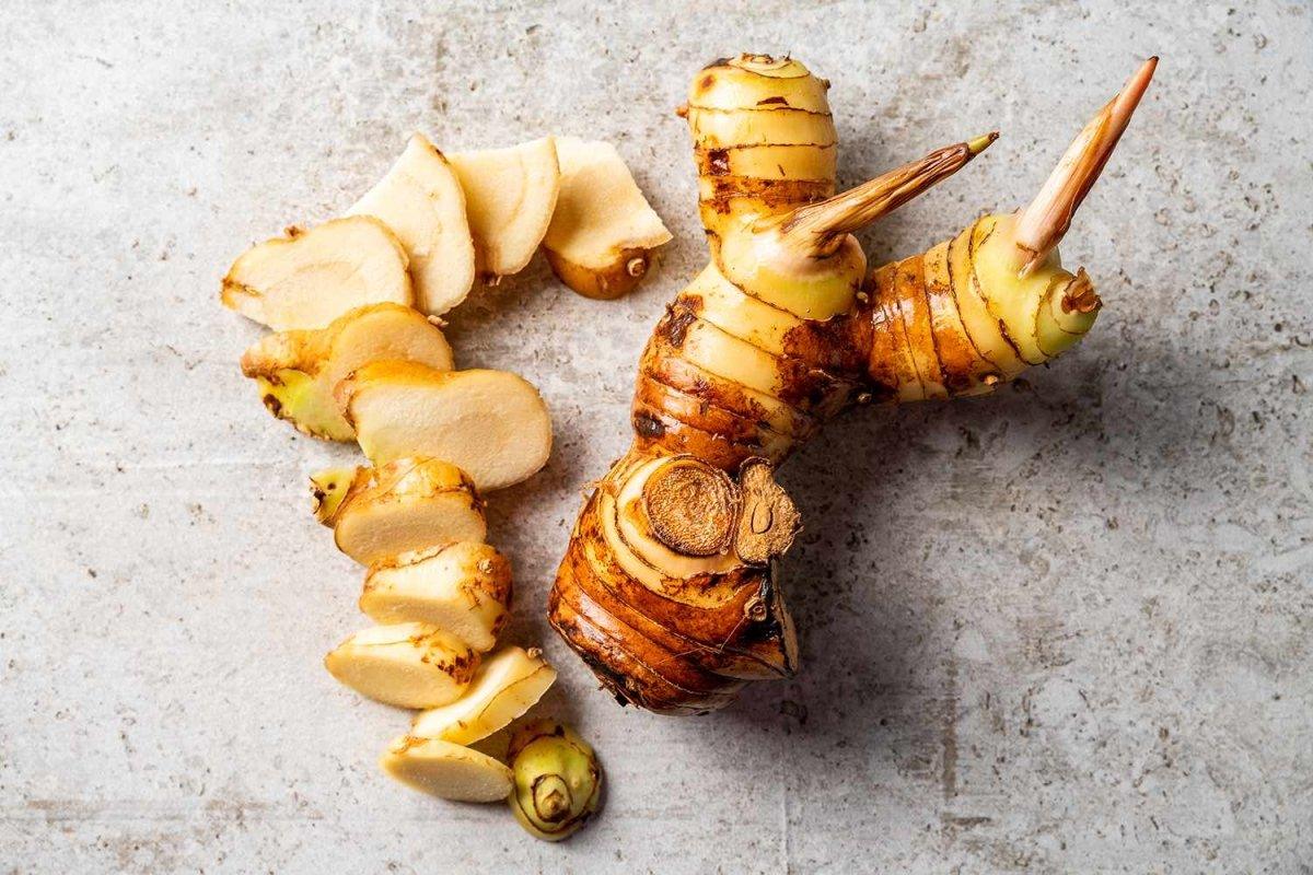 Galangal - The Red Vitamin MX - {{ shop.shopifyCountryName }}