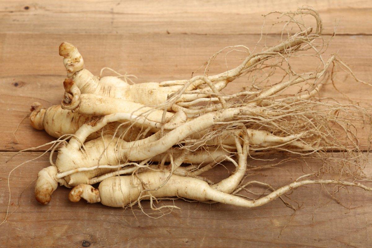 Ginseng Americano - The Red Vitamin MX - {{ shop.shopifyCountryName }}