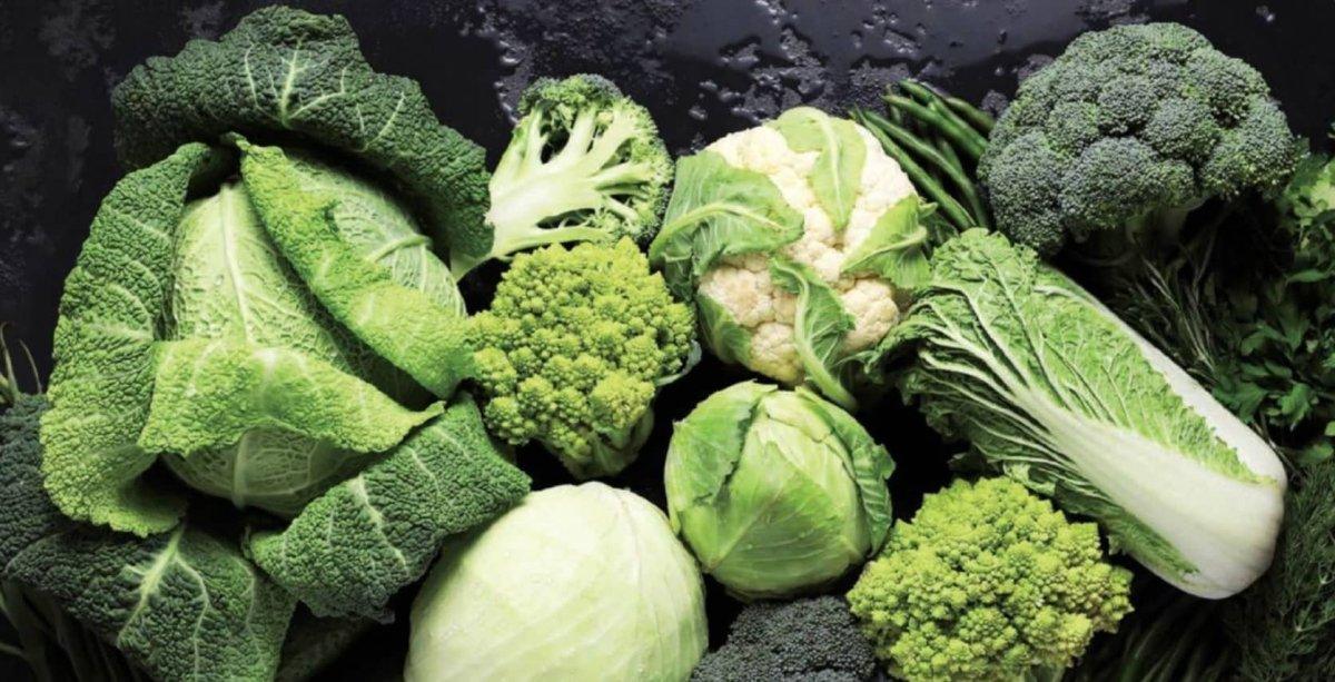 Sulforafano - The Red Vitamin MX - {{ shop.shopifyCountryName }}