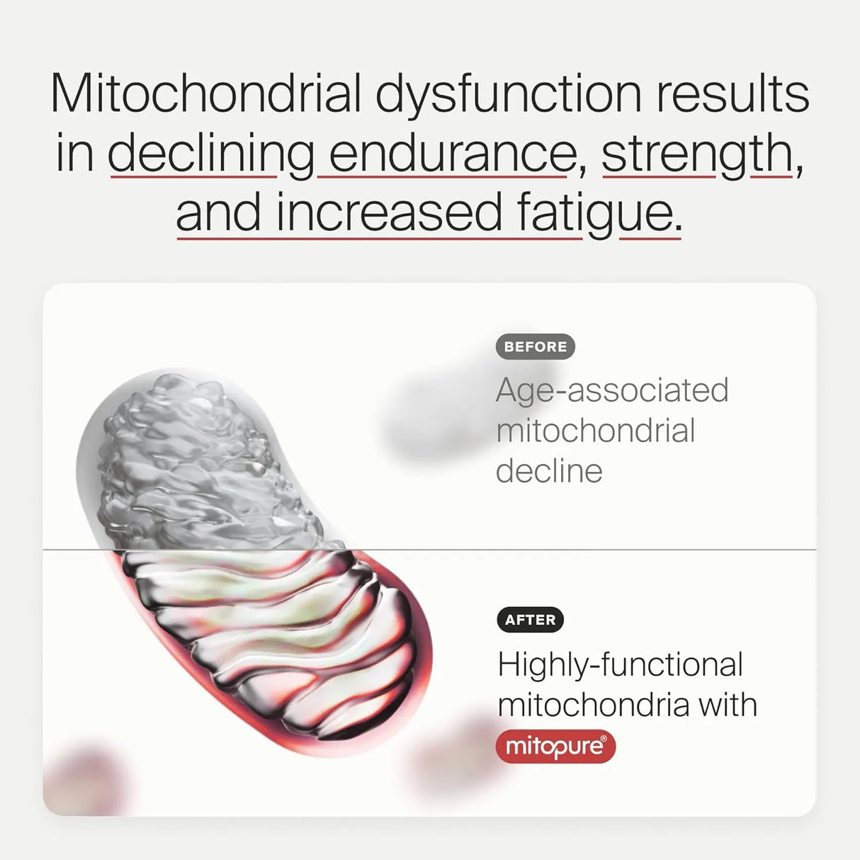 TIMELINE - Timeline Mitopure Urolithin A 60 Capsulas - The Red Vitamin MX - Suplementos Alimenticios - {{ shop.shopifyCountryName }}