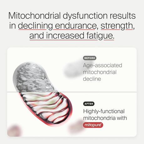 TIMELINE - Timeline Mitopure Urolithin A 60 Capsulas - The Red Vitamin MX - Suplementos Alimenticios - {{ shop.shopifyCountryName }}