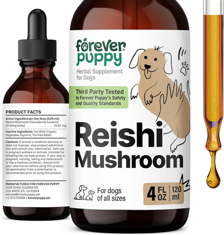 FOREVER PUPPY - Forever Puppy Red Reishi Mushroom Tincture for Dogs 4 Fl.Oz. - The Red Vitamin MX - Suplementos Herbales Para Perros - {{ shop.shopifyCountryName }}
