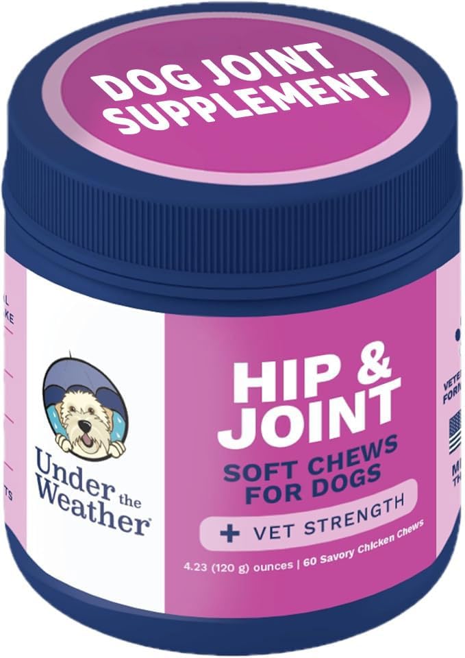 Under the Weather Pet Hip & Joint Chews for Dogs 60 Masticables
