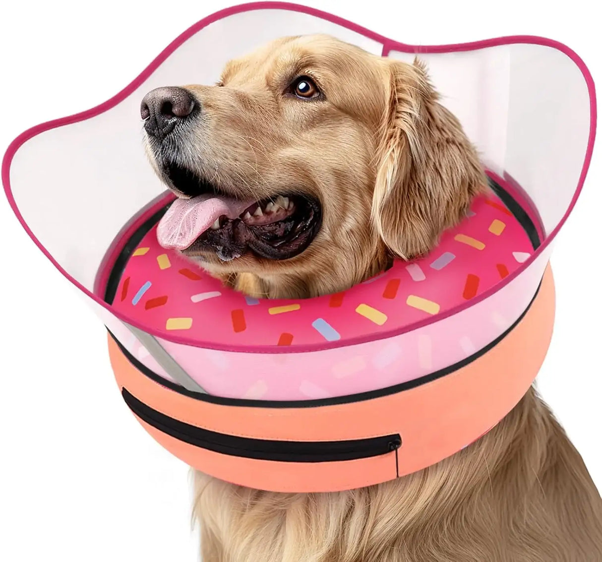 SUPET - Supet Raised Inflatable Dog Cone Collar XLARGE - The Red Vitamin MX - Collares y Conos De Recuperación Para Perros - {{ shop.shopifyCountryName }}