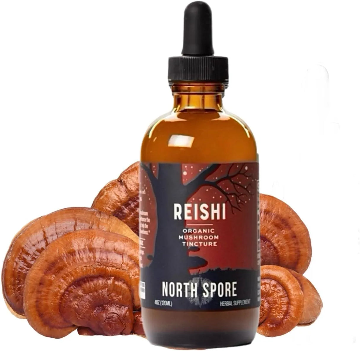 NORTH SPORE - North Spore Reishi Mushroom Extract Tincture 4 Fl.Oz. - The Red Vitamin MX - Suplementos Alimenticios - {{ shop.shopifyCountryName }}