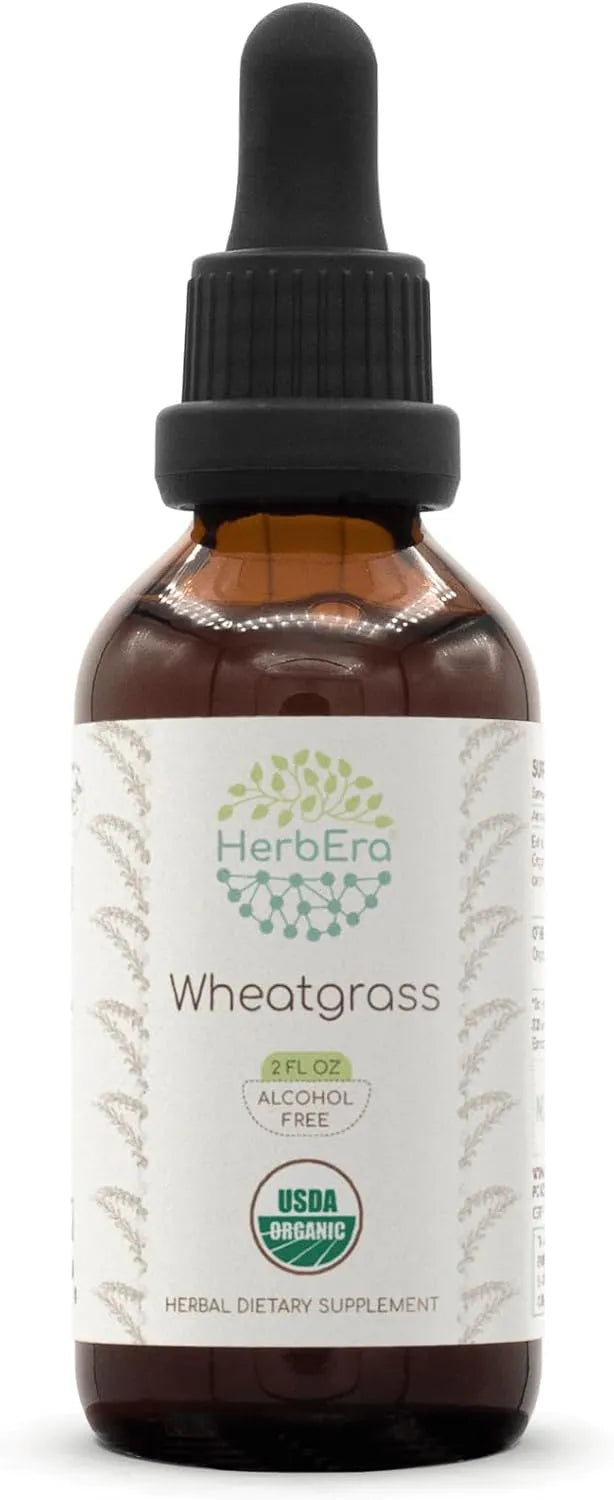 HERBERA - HerbEra Wheatgrass B60 USDA Organic Tincture 2 Fl.Oz. - The Red Vitamin MX - Suplementos Alimenticios - {{ shop.shopifyCountryName }}