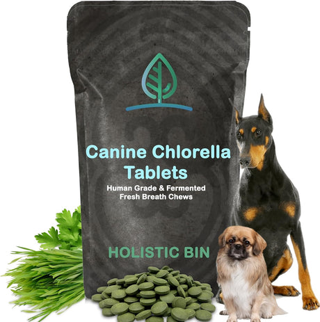 HOLISTIC BIN - Holistic Bin Canine Chlorella Tablets 100 Tabletas - The Red Vitamin MX - Suplementos Herbales Para Perros - {{ shop.shopifyCountryName }}