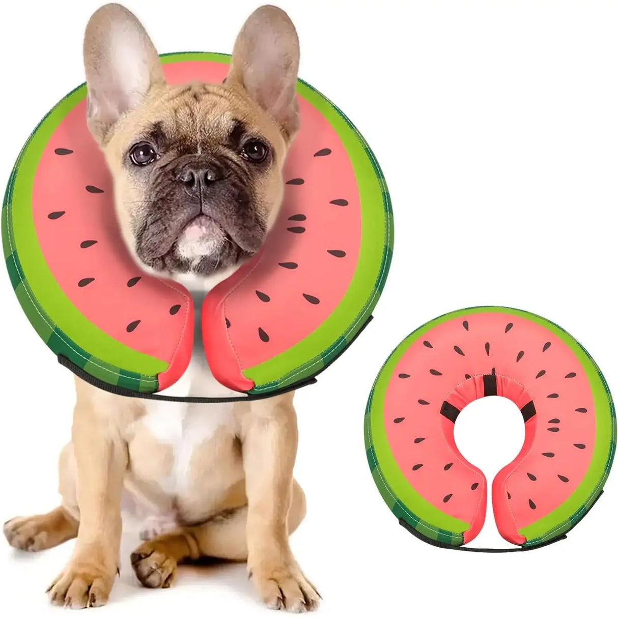 MIDOG - MIDOG Inflatable Dog Cone Collar Watermelon MEDIUM PLUS Neck 14"-18" - The Red Vitamin MX - Collares y Conos De Recuperación Para Perros - {{ shop.shopifyCountryName }}