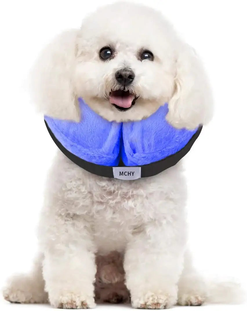 MCHY - MCHY Adjustable Recovery Collar for Dogs SMALL BLUE - The Red Vitamin MX - Collares y Conos De Recuperación Para Perros - {{ shop.shopifyCountryName }}