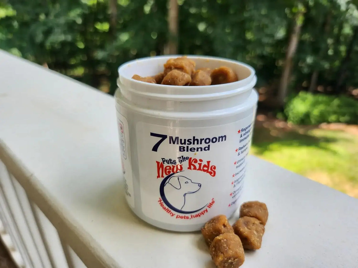 PET'S THE NEW KIDS - Pet's: The New Kids 7 Mushroom Blend Supplement for Dogs 170Gr. - The Red Vitamin MX - Suplementos Herbales Para Perros - {{ shop.shopifyCountryName }}