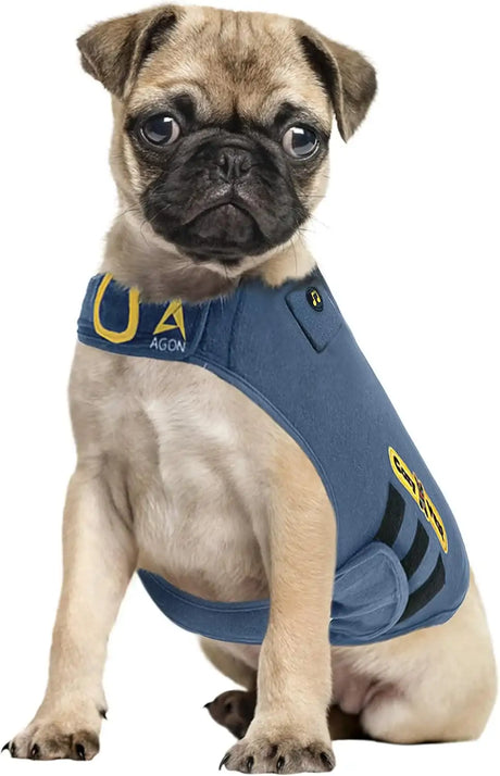 COZYVEST - CozyVest Dog Anxiety Vest 3-in-1 GRAY SMALL - The Red Vitamin MX - Relajantes Para Perros - {{ shop.shopifyCountryName }}