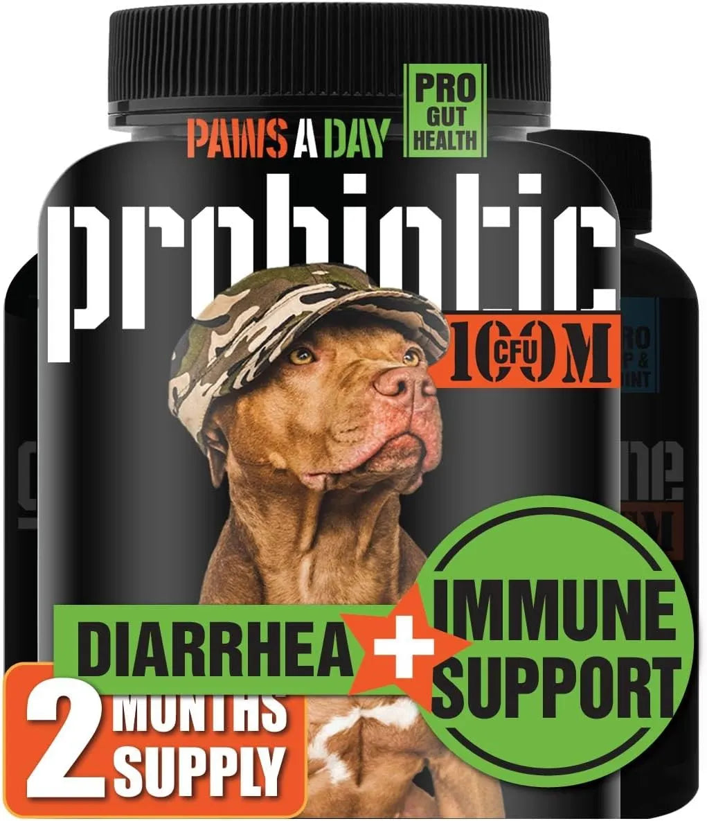 PAWS A DAY - Paws A Day Army Soldier Owned Dog Probiotics 60 Masticables 3 Pack - The Red Vitamin MX - Probióticos Para Perros - {{ shop.shopifyCountryName }}