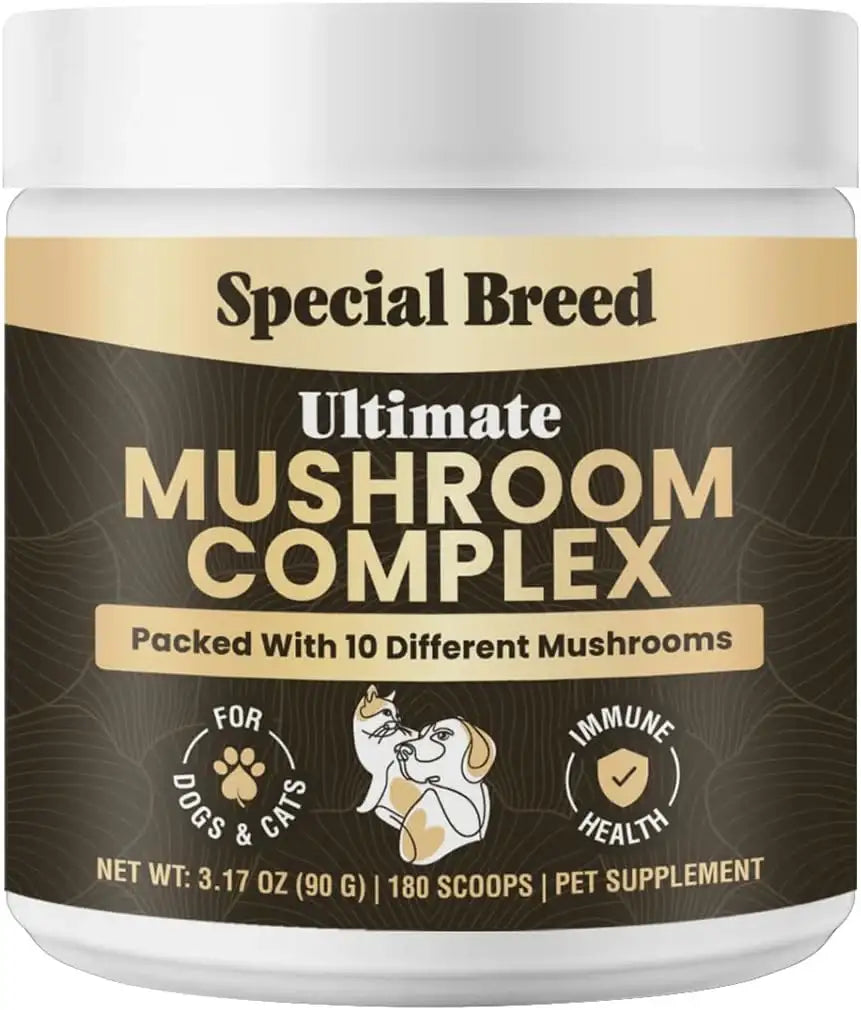 SPECIAL BREED - Special Breed Mushroom Powder for Dogs & Cats 180 Servicios 90Gr. - The Red Vitamin MX - Suplementos Herbales Para Perros - {{ shop.shopifyCountryName }}