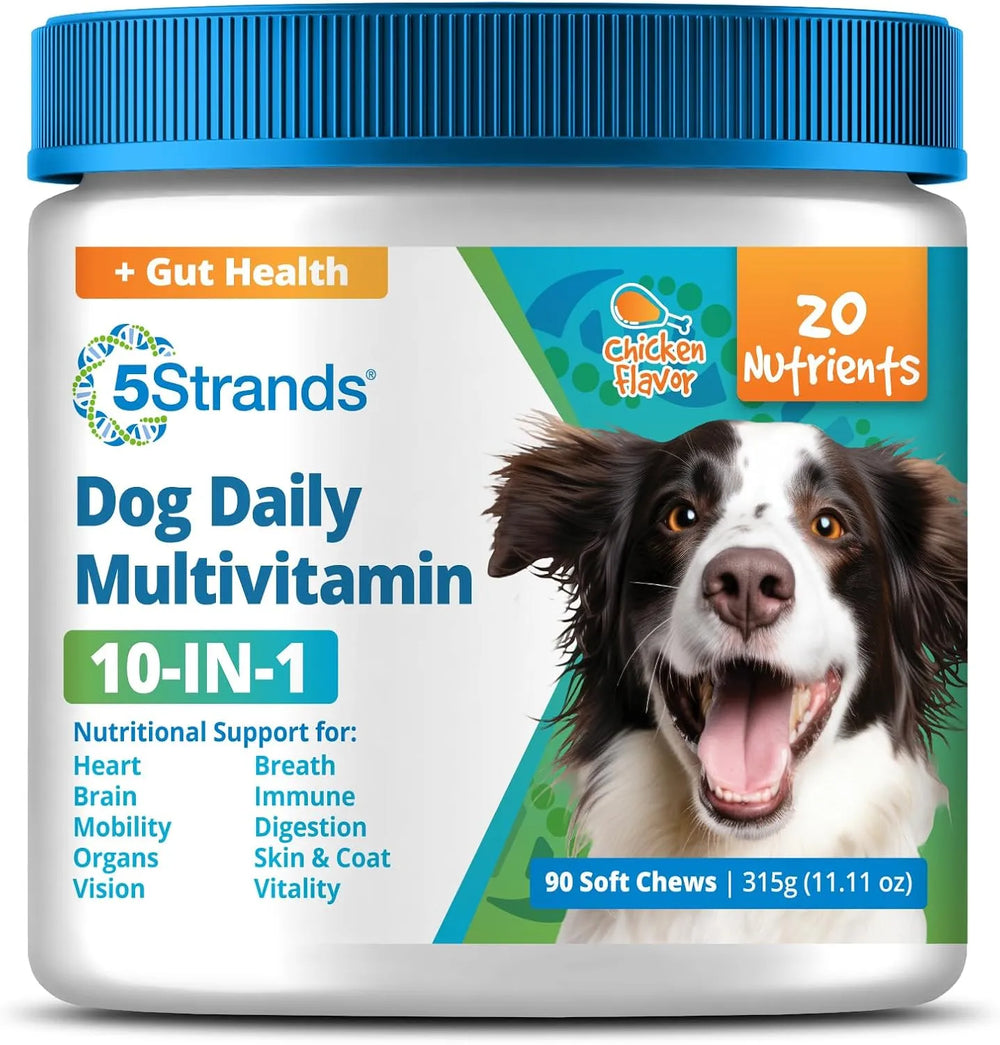 5STRANDS - 5Strands Dog Multivitamin Chews 10-in-1 Vitamins & Postbiotics Chicken 90 Masticables - The Red Vitamin MX - Multivitamínicos Para Perros - {{ shop.shopifyCountryName }}