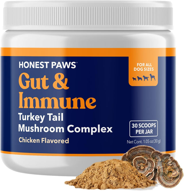 HONEST PAWS - Honest Paws Turkey Tail Mushroom for Dogs 30 Servicios 30Gr. - The Red Vitamin MX - Suplementos Herbales Para Perros - {{ shop.shopifyCountryName }}