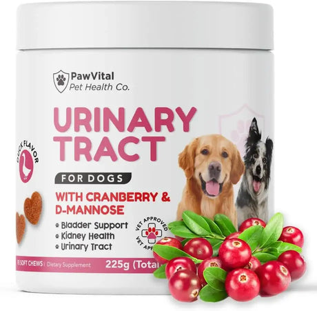 PAWVITAL - PawVital Cranberry Dog UTI Chews with D Mannose 90 Masticables - The Red Vitamin MX - Salud De Tracto Urinario Para Perros - {{ shop.shopifyCountryName }}