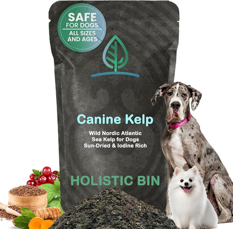 HOLISTIC BIN - Holistic Bin Canine Atlantic Sea Kelp for Dogs 50Gr. - The Red Vitamin MX - Suplementos Herbales Para Perros - {{ shop.shopifyCountryName }}