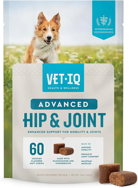 VETIQ - VetIQ Advanced Hip & Joint with UC-II 60 Masticables - The Red Vitamin MX - Cuidado De Cadera Y Articulaciones Para Perros - {{ shop.shopifyCountryName }}