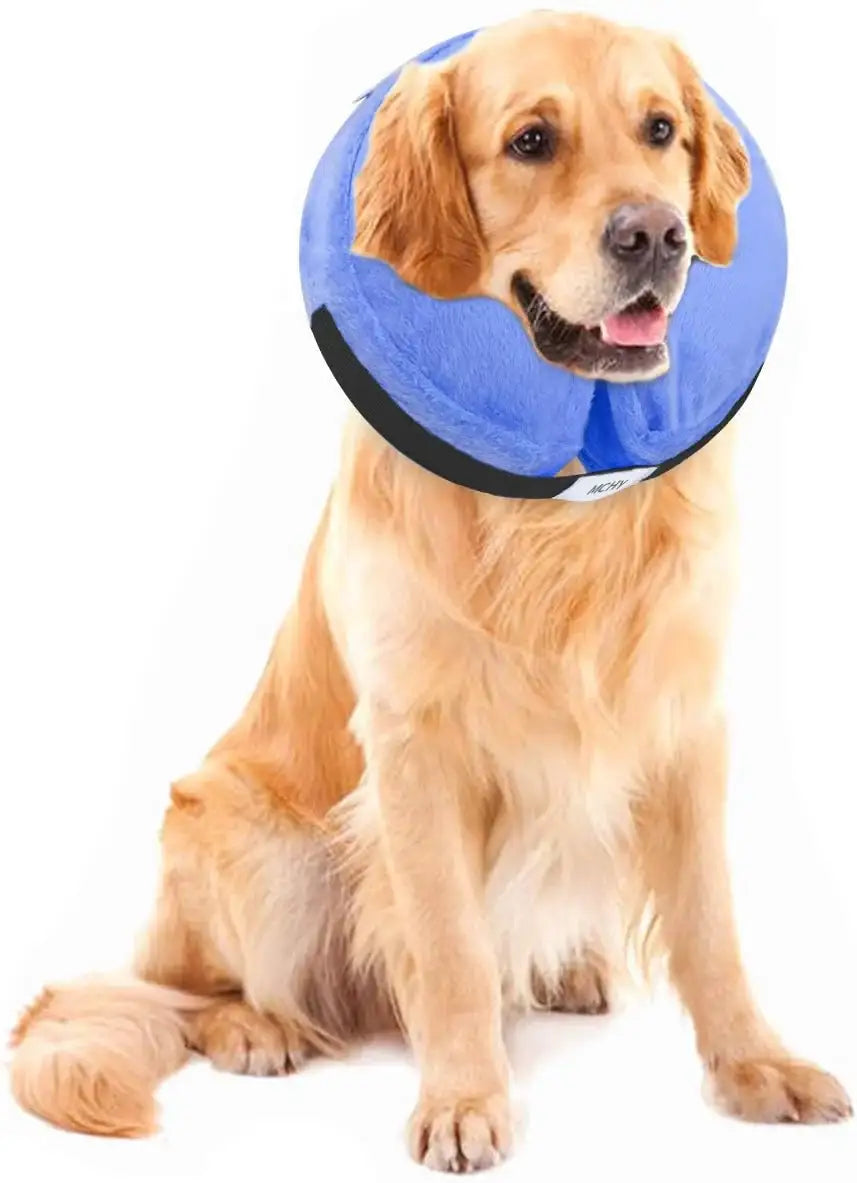 MCHY - MCHY Adjustable Recovery Collar for Dogs LARGE BLUE - The Red Vitamin MX - Collares y Conos De Recuperación Para Perros - {{ shop.shopifyCountryName }}