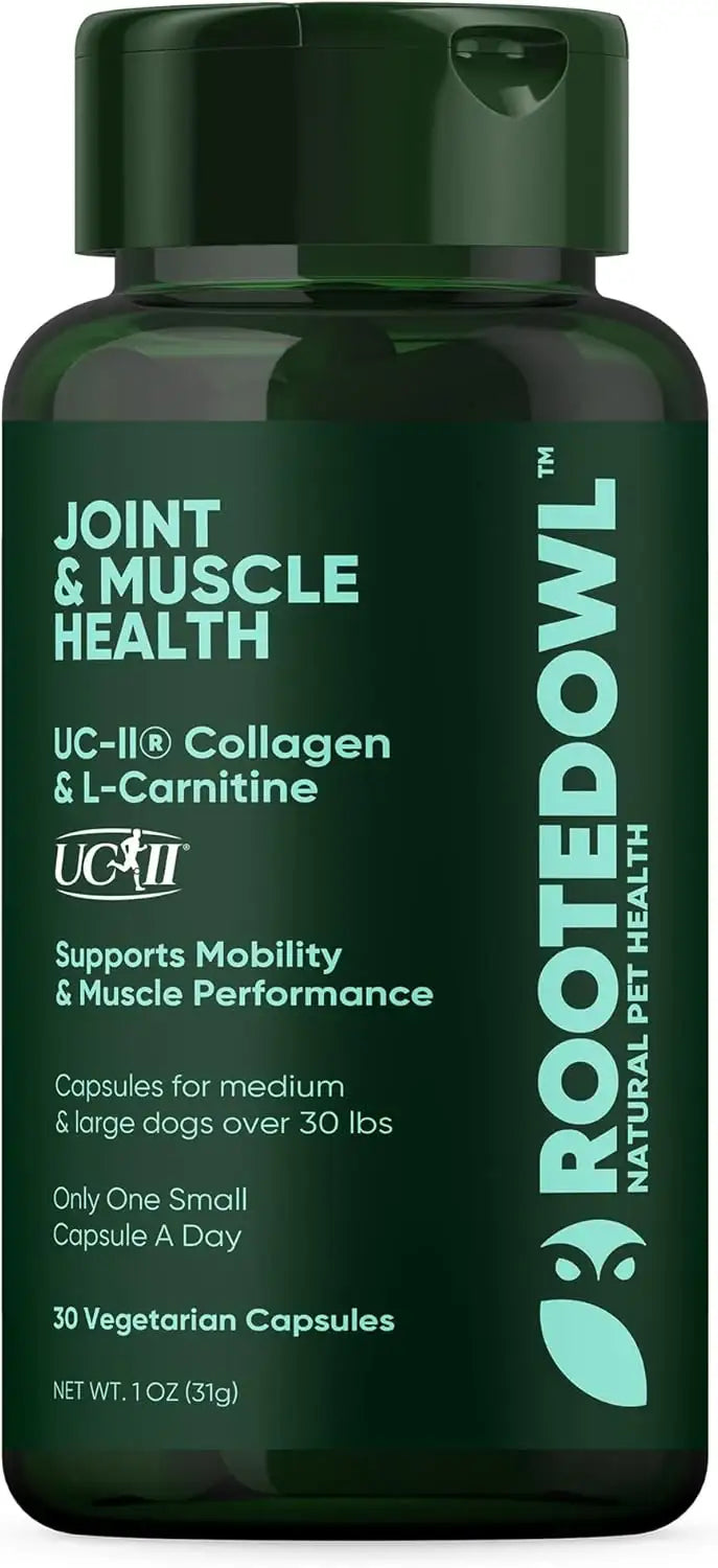 ROOTED OWL - Rooted Owl Joint and Muscle Health Hip and Joint Supplement for Medium and Large Dogs 30 Capsulas - The Red Vitamin MX - Cuidado De Cadera Y Articulaciones Para Perros - {{ shop.shopifyCountryName }}