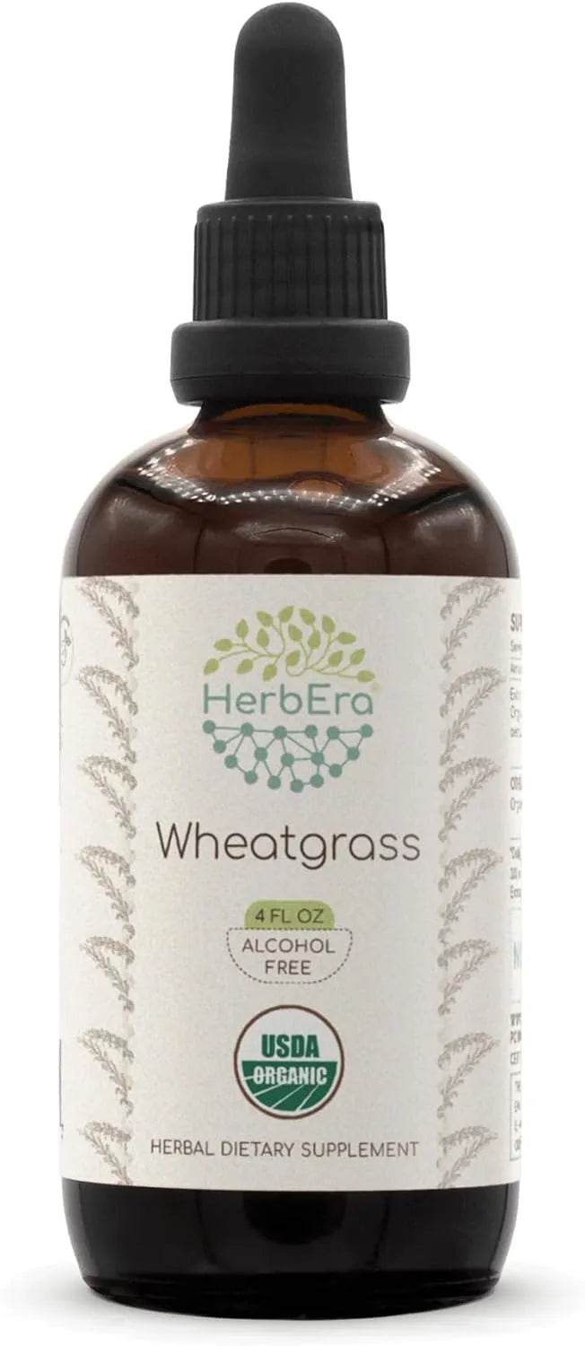 HERBERA - HerbEra Wheatgrass B60 USDA Organic Tincture 4 Fl.Oz. - The Red Vitamin MX - Suplementos Alimenticios - {{ shop.shopifyCountryName }}