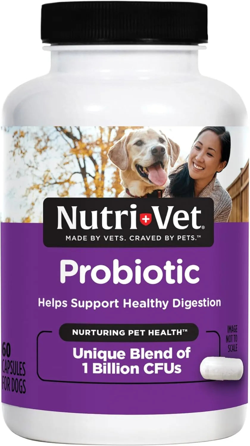 NUTRI-VET - Nutri-Vet Probiotics Capsules for Dogs 60 Capsulas - The Red Vitamin MX - Probióticos Para Perros - {{ shop.shopifyCountryName }}