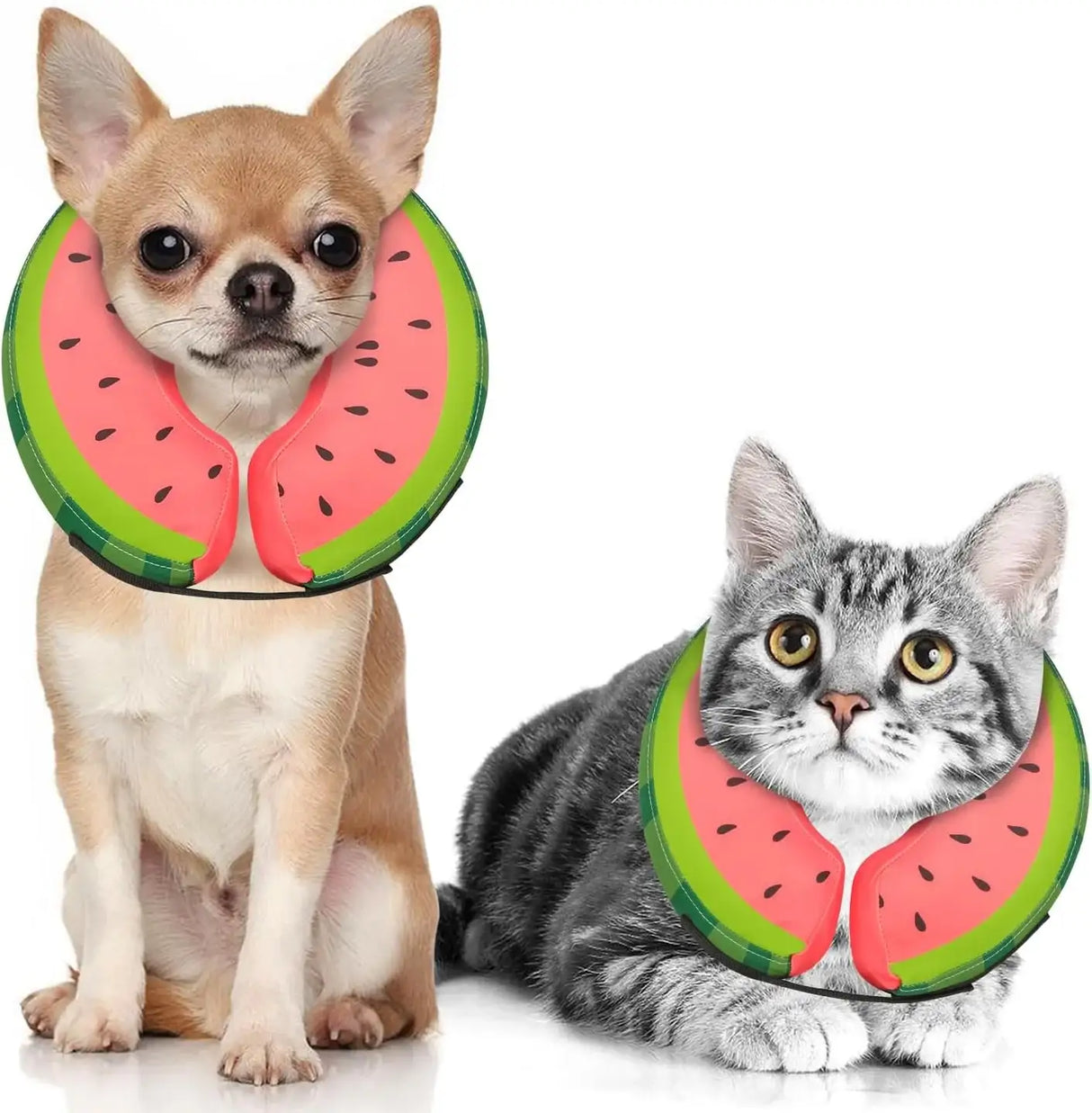 MIDOG - MIDOG Inflatable Dog Cone Collar Watermelon XSMALL Neck 5"-8" - The Red Vitamin MX - Collares y Conos De Recuperación Para Perros - {{ shop.shopifyCountryName }}