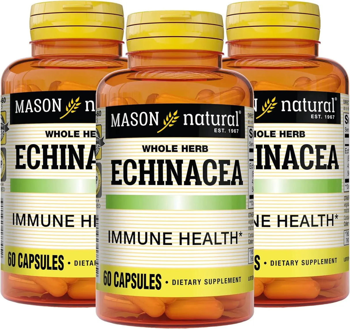 MASON NATURAL - MASON NATURAL Echinacea 60 Capsulas 3 Pack - The Red Vitamin MX - Suplementos Alimenticios - {{ shop.shopifyCountryName }}