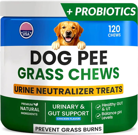 PAWFECTCHEW - PAWFECTCHEW Green Grass Dog Chews w/Probiotics 120 Masticables - The Red Vitamin MX - Salud De Tracto Urinario Para Perros - {{ shop.shopifyCountryName }}