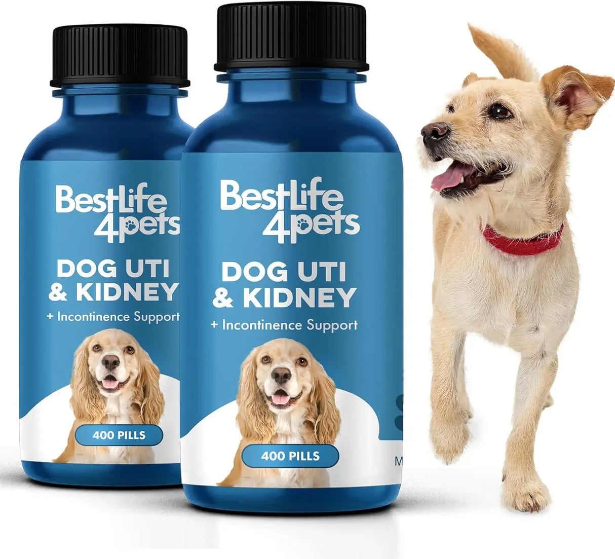 BESTLIFE4PETS - BestLife4Pets Dog UTI Treatment 400 Tabletas 2 Pack - The Red Vitamin MX - Salud De Tracto Urinario Para Perros - {{ shop.shopifyCountryName }}