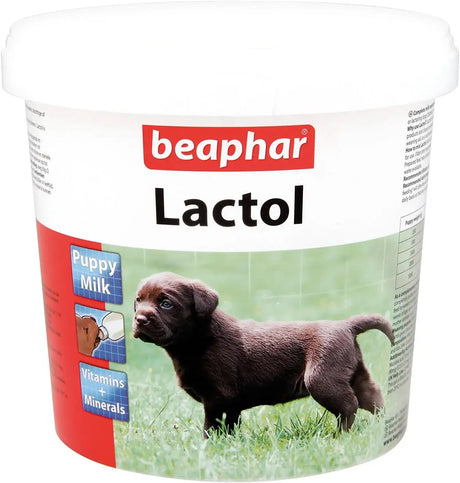 BEAPHAR - Beaphar Lactol Milk Supplement for Puppies 1 Kg. - The Red Vitamin MX - Sustitutos De Leche Para Perros - {{ shop.shopifyCountryName }}