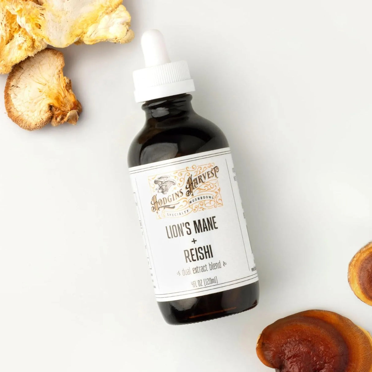 HODGINS HARVEST - Hodgins Harvest Organic Lion’s Mane + Reishi Tincture 4 Fl.Oz. - The Red Vitamin MX - Suplementos Alimenticios - {{ shop.shopifyCountryName }}
