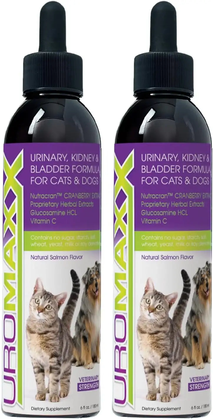 UROMAXX - UroMAXX Cat & Dog Urinary Tract Treatment Salmon Flavor 6 Fl.Oz. 2 Pack - The Red Vitamin MX - Salud De Tracto Urinario Para Perros - {{ shop.shopifyCountryName }}