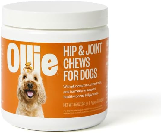 Ollie Zoomies Dog Hip and Joint Supplement 60 Masticables