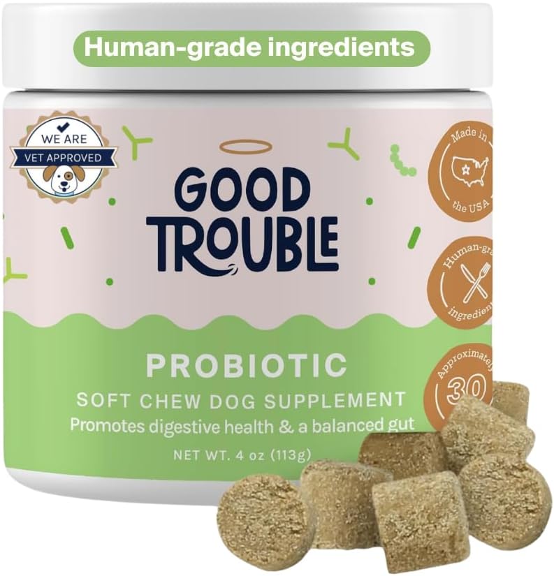 Good Trouble Pets Probiotic Supplement for Dogs Chicken Flavor 30 Masticables