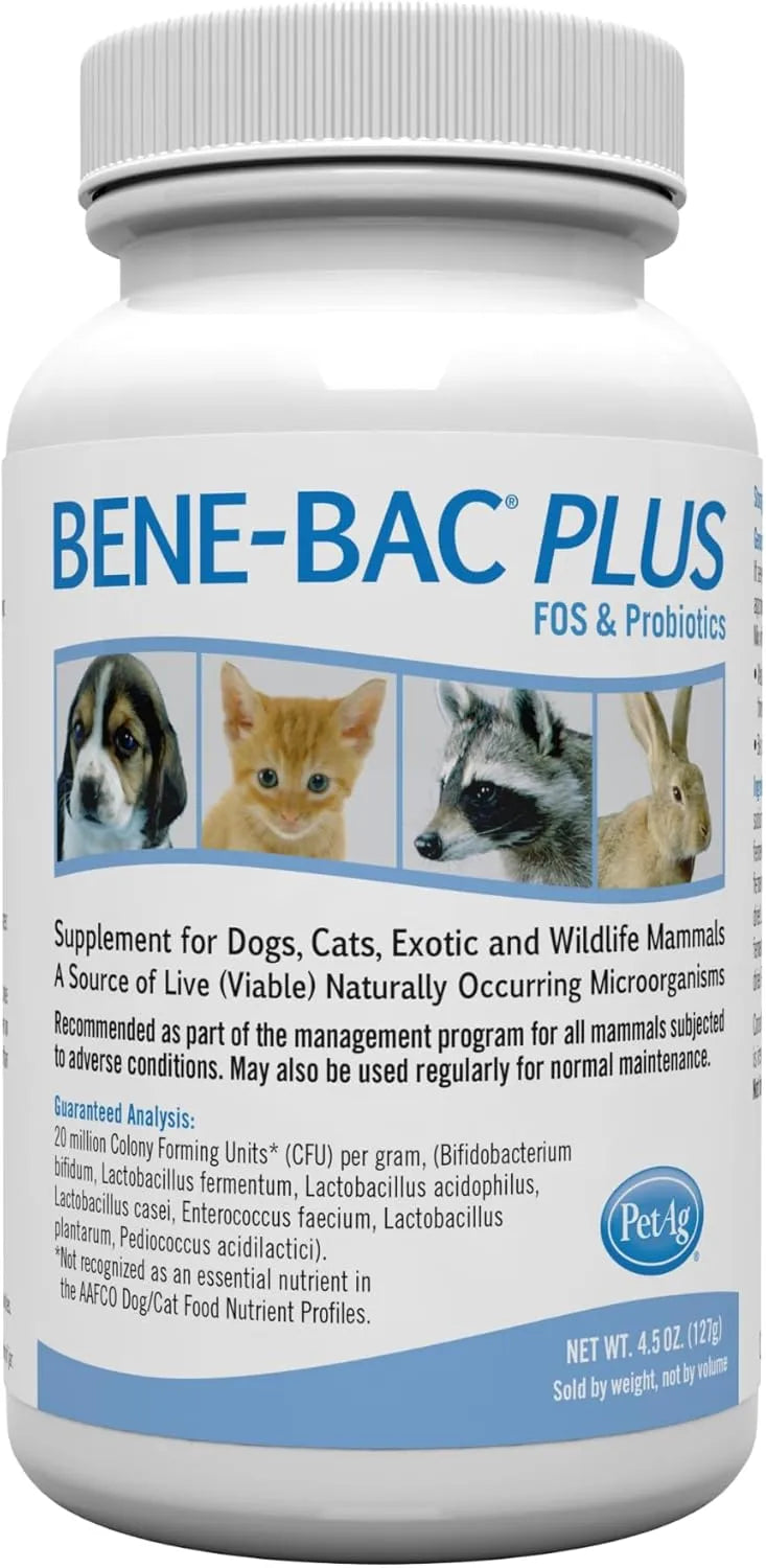 PETAG - PetAg Bene-Bac Plus FOS & Probiotics 127Gr. - The Red Vitamin MX - Probióticos Para Perros - {{ shop.shopifyCountryName }}