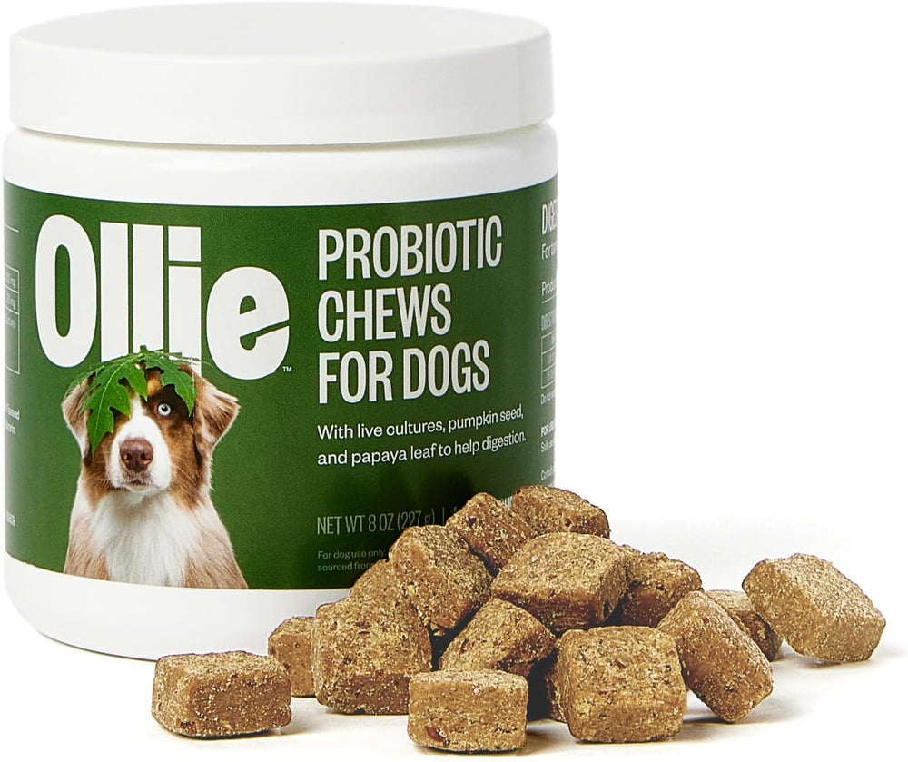 Ollie Probiotic Dog Chews 60 Masticables