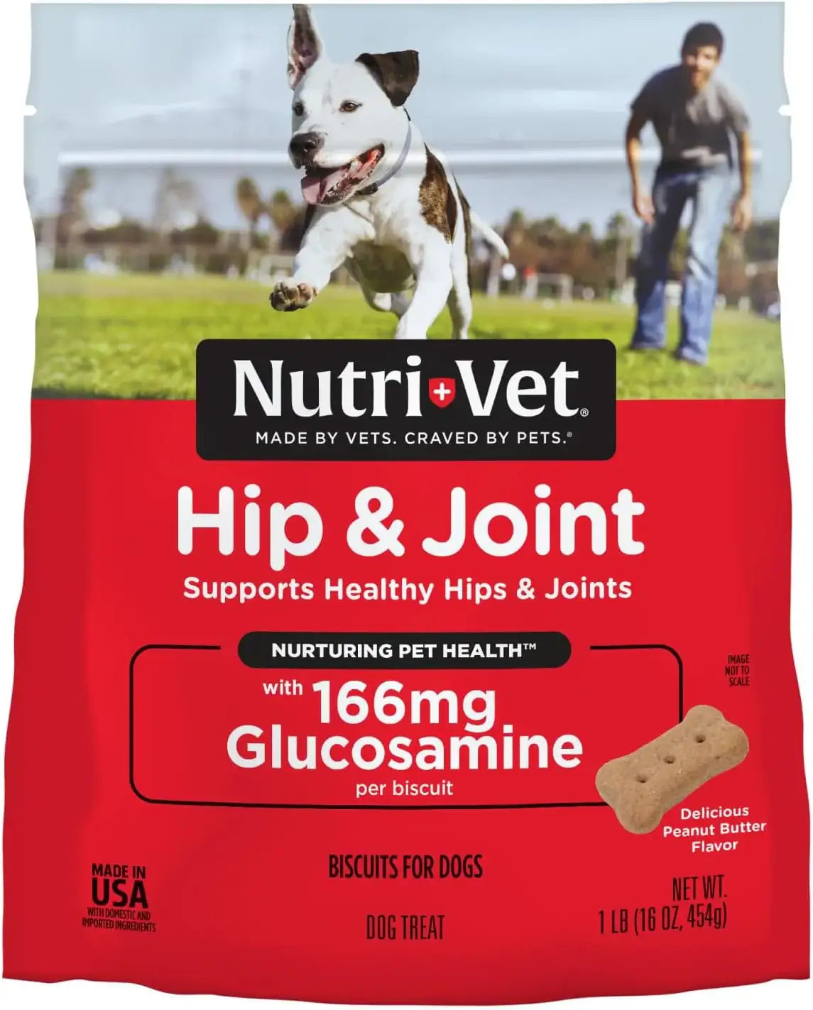 NUTRI-VET - Nutri-Vet Hip & Joint Biscuits for Dogs 454Gr. - The Red Vitamin MX - Cuidado De Cadera Y Articulaciones Para Perros - {{ shop.shopifyCountryName }}