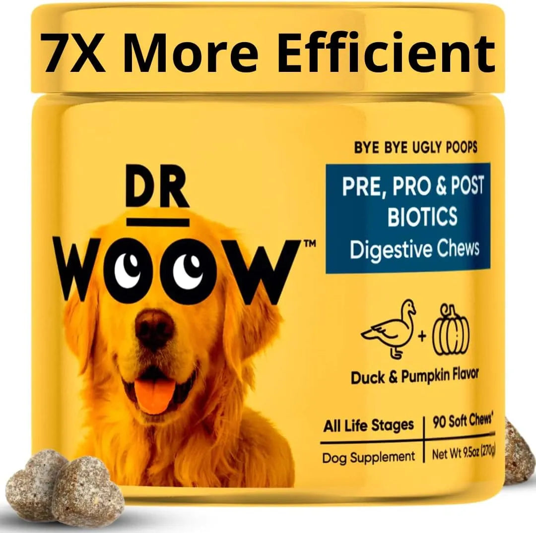 DR WOOW - DR WOOW Probiotics for Dogs 90 Masticables - The Red Vitamin MX - Probióticos Para Perros - {{ shop.shopifyCountryName }}