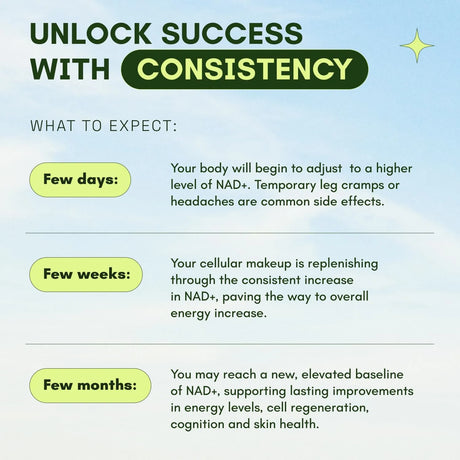 CATA-KOR - Cata-Kor NAD Liposomal NAD Supplement w/Resveratrol Nueva Imagen 60 Capsulas - The Red Vitamin MX - Suplementos Alimenticios - {{ shop.shopifyCountryName }}