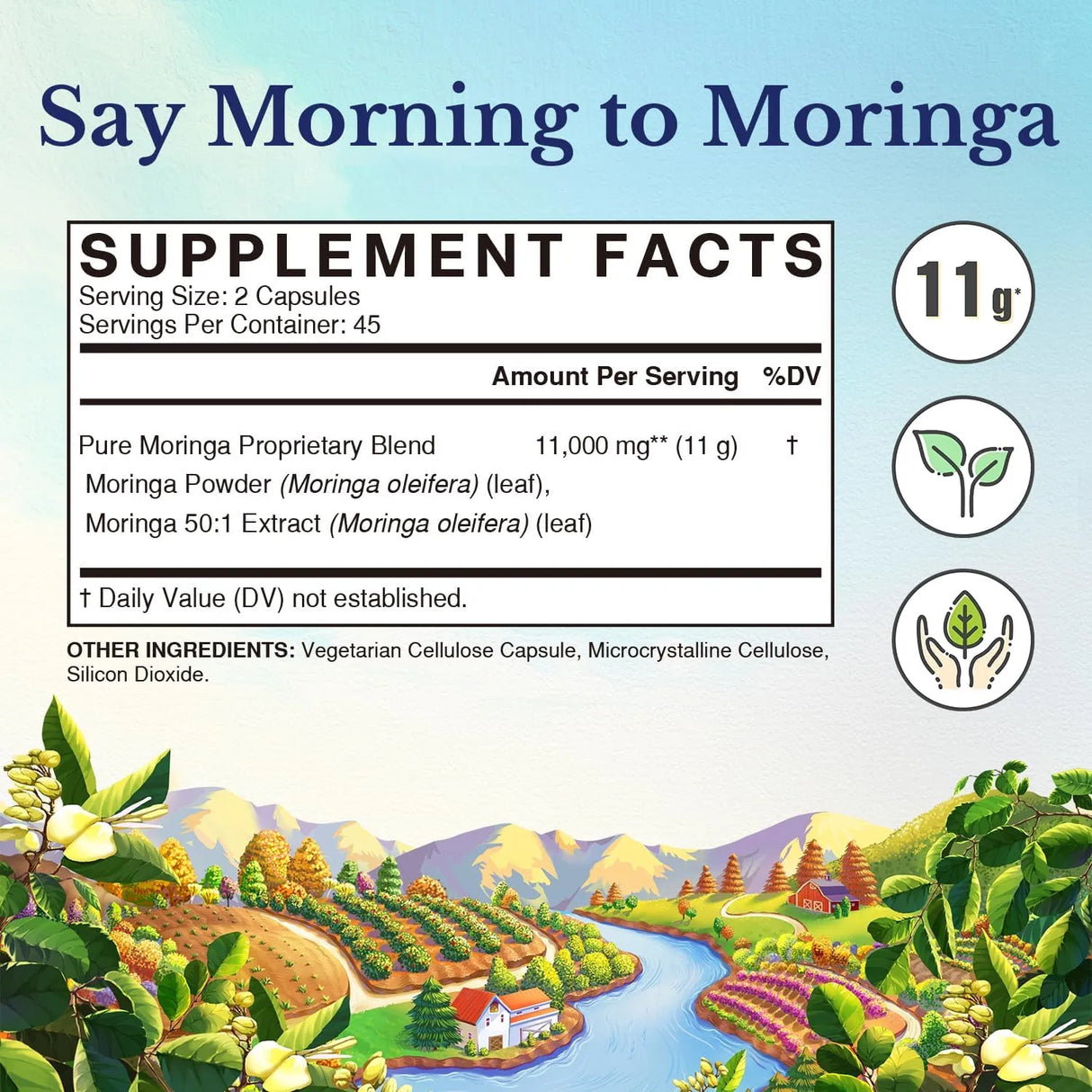 VITALITOWN - Vitalitown Moringa 11,000Mg. 90 Capsulas - The Red Vitamin MX - Suplementos Alimenticios - {{ shop.shopifyCountryName }}