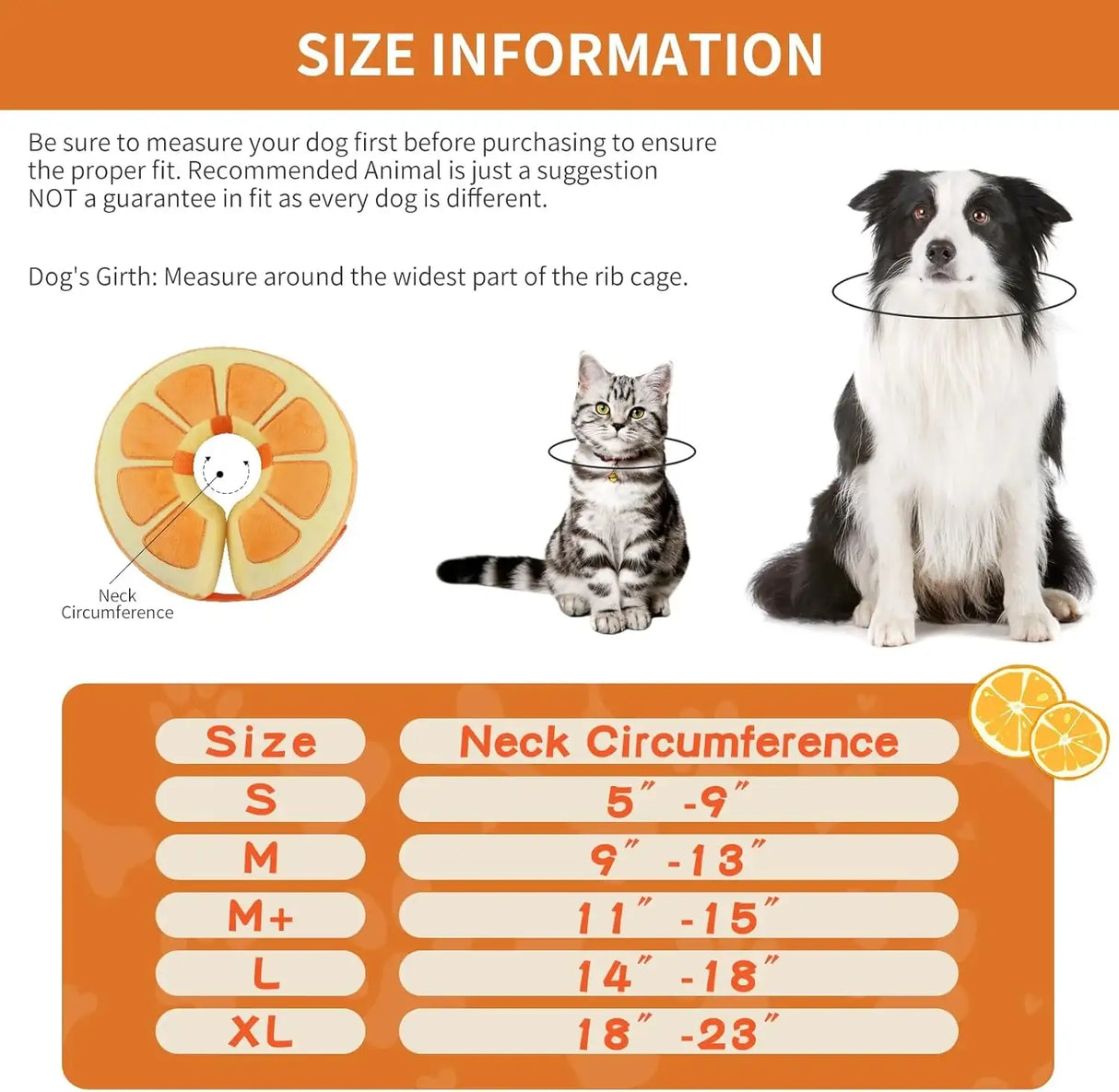 IEUUMLER - IEUUMLER Inflatable Recovery Dog Collar ORANGE MEDIUM Neck:7''-11'' - The Red Vitamin MX - Collares y Conos De Recuperación Para Perros - {{ shop.shopifyCountryName }}