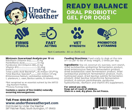 UNDER THE WEATHER PET - Under the Weather Pet Oral Probiotic and Prebiotic Gel - The Red Vitamin MX - Probióticos Para Perros - {{ shop.shopifyCountryName }}